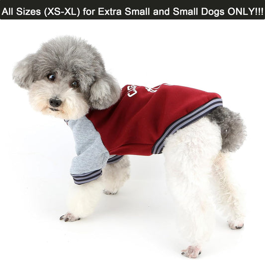 Cozy Pup Sweater with Leash Ring - the Burkery