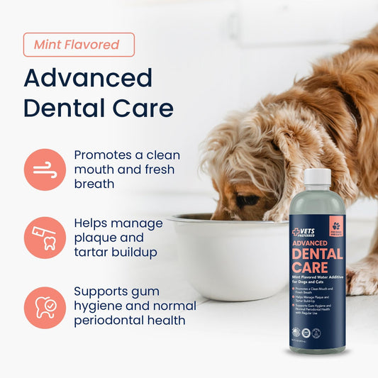 Fresh Breath Dog Water Additive - the Burkery